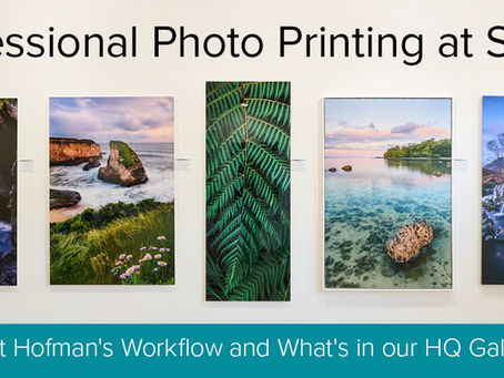 Professional Photo Printing at Scale: Matt Hofman's Workflow and What's in our HQ Gallery