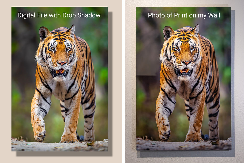 Side-by-side tiger print mockup: digital file with drop shadow and MetalPrint on wall, labeled with white text.