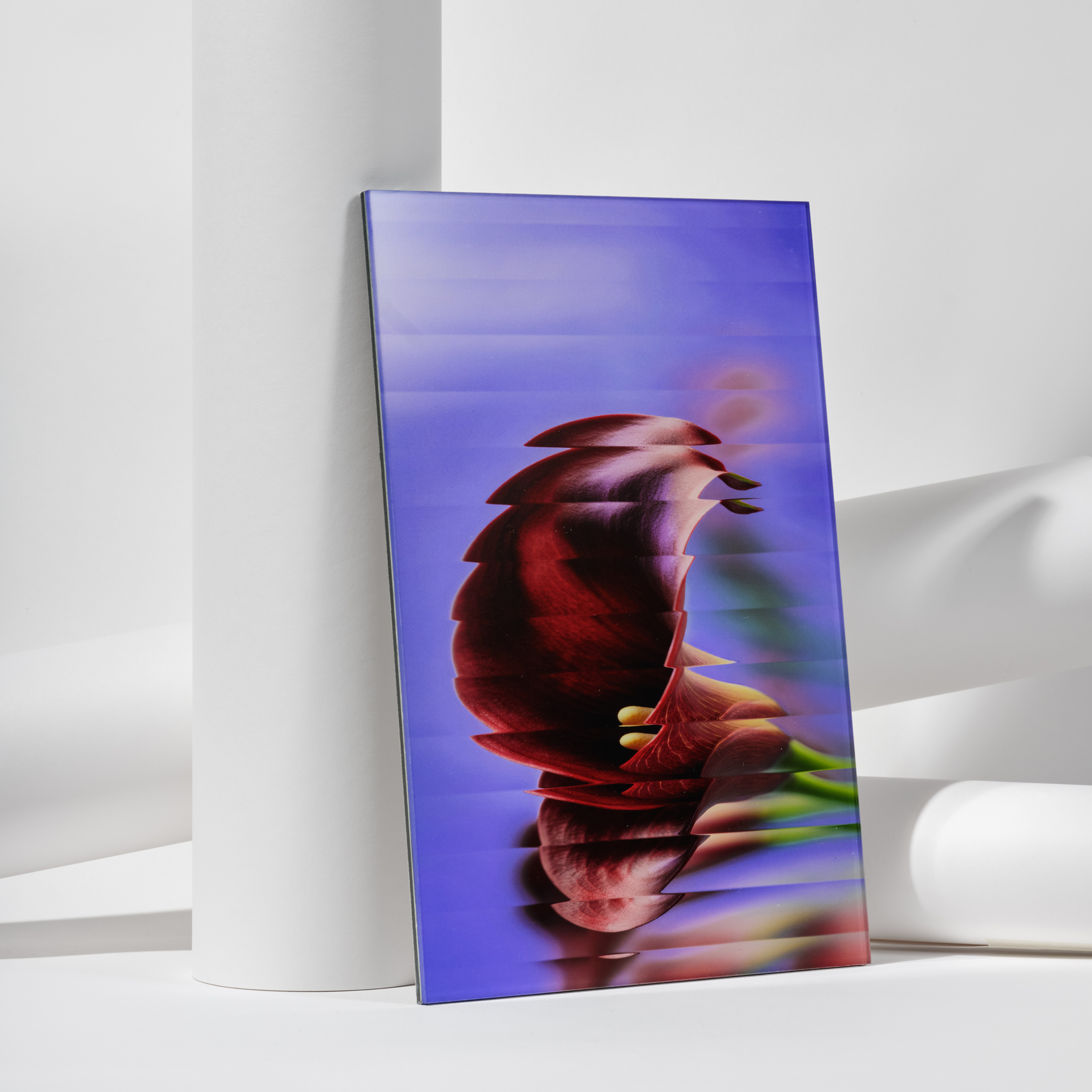 Abstract purple-and-red Acrylic Print leaning against a white cylinder in a minimalist white room.