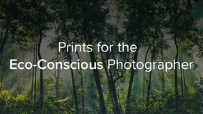 Photo of forest with text that says "Prints for the Eco-Conscious Photographer