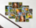 Photo collage on wall: red-haired girl in nature, holding umbrellas, wearing yellow and blue outfits. Scenic landscapes are included.