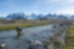 Max kneels near a river, capturing a line of penguins on a rocky, grassy landscape with snowy mountains in the background.