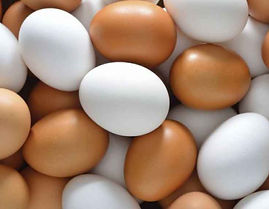 alimentacion-nutricion_410970417_159080674_1024x576.jpg