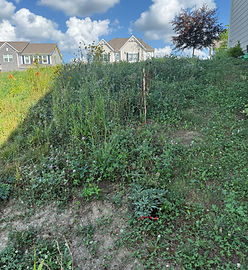 3922 Saddle Club South Parkway