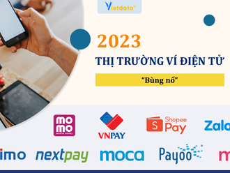 Lượng dân số Việt Nam sử dụng dịch vụ ví điện tử tăng 235% chỉ trong bốn năm