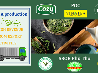 The export market contributes greatly to the revenue of Vietnamese tea production companies