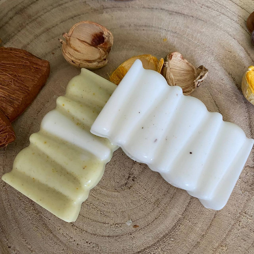 Miniatura: SAPONETTA SPA