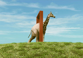 Vier tips voor gedragsverandering in jouw organisatie