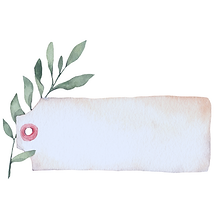 Design ohne Titel (22).png