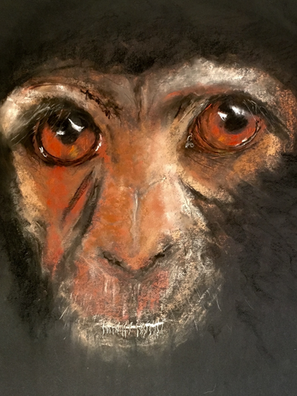 Portrait d'un singe au pastel. Regard bouleversant. Tome 2 la Terre et le Feu. Plaidoyers, illustrations, poésie sauvage et récit d'une utopie. Ecologie sensible