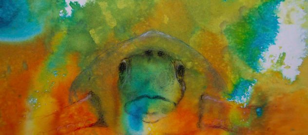 Le pouvoir magique de l'émerveillement