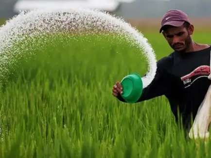 ఏదయా యూరియా.. వైఫల్యమిదయ్యా!