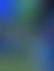 దురదృష్టానికి ‘ప్రతీక’!