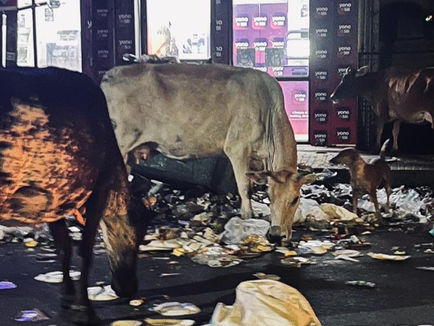 దేవుడే ఇచ్చాడు వీధి ఒకటి..!