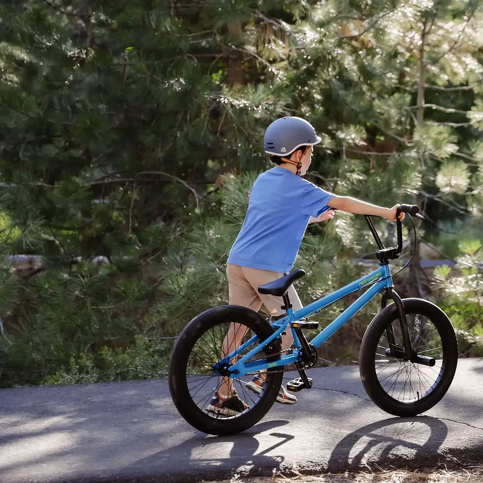 Thumbnail: Sesh 20” Youth BMX Bike (6-11 years) Voltage Blue