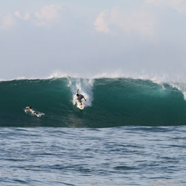 Surfing areguling waves