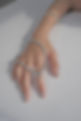 DSCF6849-2.jpg
