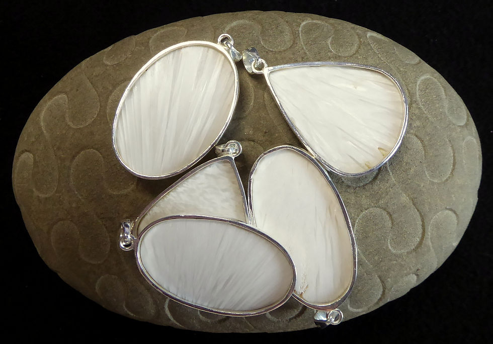 Thumbnail: SOLD [1] Wholesale Trade Lot. Five White Scolecite Silver Set Pendants.