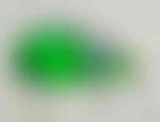 Casimir Gun Inclusion résine 50x39 cm