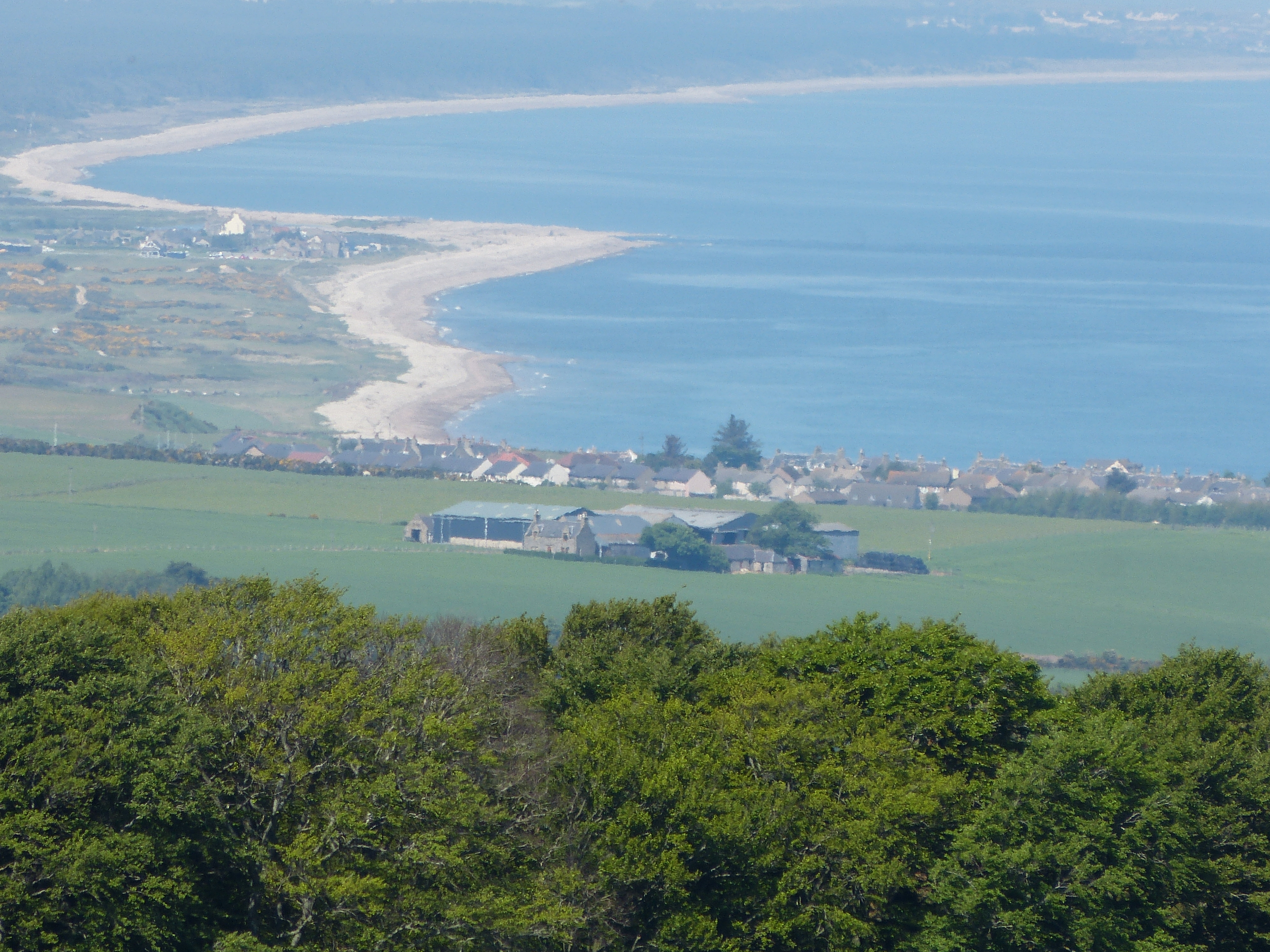 Moray Firth