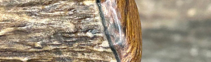 C-003 manche en bois de cerf