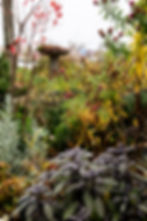 Fall