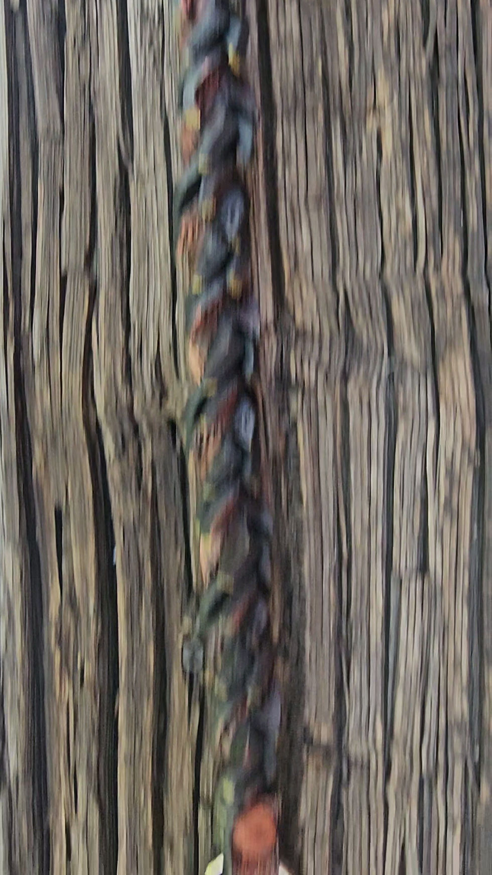 Thumbnail: Leather Get Back Whip - Hand Crafted - Dia de los Muertos