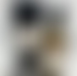 買取大吉イトーヨーカドー安城店でお買取りした商品の紹介です。★シングルモルト ジャパニーズ ウイスキー 桜尾 SAKURAO★広島県廿日市市の桜尾蒸溜所で造られる日本産ウイスキー「桜尾」を買取しました!