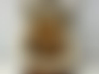 買取大吉安城桜井町店にて買取した商品の紹介⭐︎サントリー「スペシャルリザーブ ウイスキー特級 ハープ型ボトル」 ⭐︎ハープ型のボトルで話題のSUNTRY SPECIAL Reserve WHISKY ウイスキー特級をお買取しました!