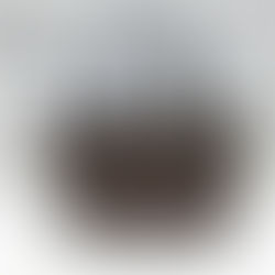 買取大吉豊田店で買取した商品の紹介です★Louis Vuitton Damier Ebene Neverfull PM★ルイヴィトンの人気のトートバッグをお買取しました!