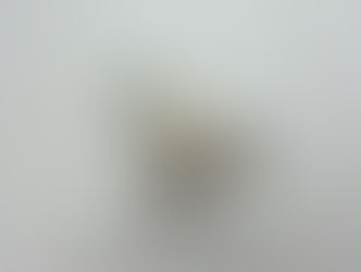 買取大吉 安城桜井町店にて買取した商品の紹介★プラチナ製のブローチ★真珠でデザインされたプラチナのブローチをお買取りいたしました♪♪