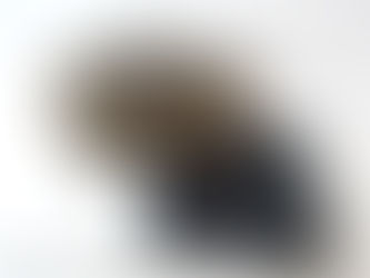 買取大吉 安城桜井町店にて買取した商品の紹介★FENDIのボストンバッグ★フェンディの Logo Zucca Boston Bag をお買取りいたしました♪♪