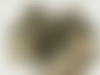 ★稲穂、鳳凰 などの100円銀貨★昭和に発行された100円銀貨をたくさんお買取しました！