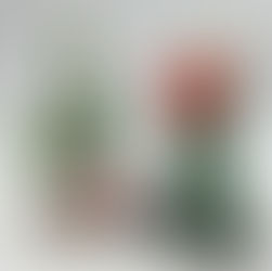 新年あけましておめでとうございます🙇買取大吉イトーヨーカドー安城店