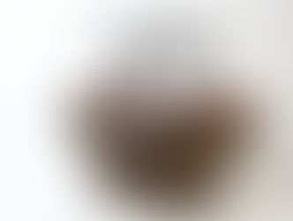 買取大吉 安城桜井町店にて買取した商品の紹介★ルイ・ヴィトン　マノスク　トート★廃盤になってしまったLouis VuittonのManosqueショルダーバッグをお買取りいたしました♪♪