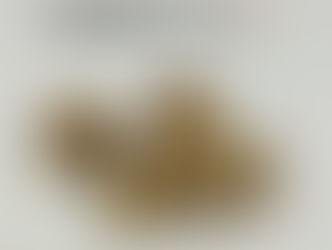 金歯買取⭐︎ご自宅で保管されている金歯をお買取します✨買取大吉安城桜井町店