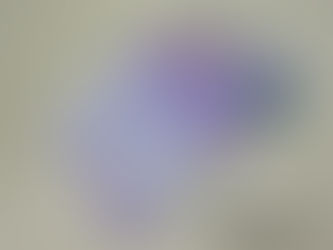 JCBギフト☆金券商品券買取は豊田市の買取大吉豊田店へ★ 