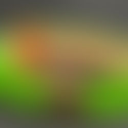 買取大吉岡崎店が買取した商品の紹介です★ルイ・ヴィトン グッドラックブレスレット★クリスマス限定で発売されたヴィトンのお花の金具とヴェルニ生地が可愛いブレスレットをお買取りしました♪