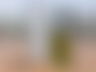 ★シャネル N°19　香水★  未使用はもちろん使いかけも買います！