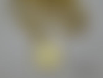 金貨や金のアクセサリー買取は豊田市の買取大吉豊田店へ★