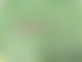 買取大吉岡崎戸崎店にて買取した商品の紹介★85円100枚切手シート★普通切手85円の切手が１００枚繋がった、切手シートをお買取りいたしました♪♪