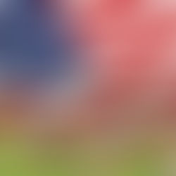 Memorial Day Special