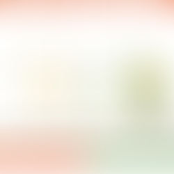 Understanding Your Owner’s Manual