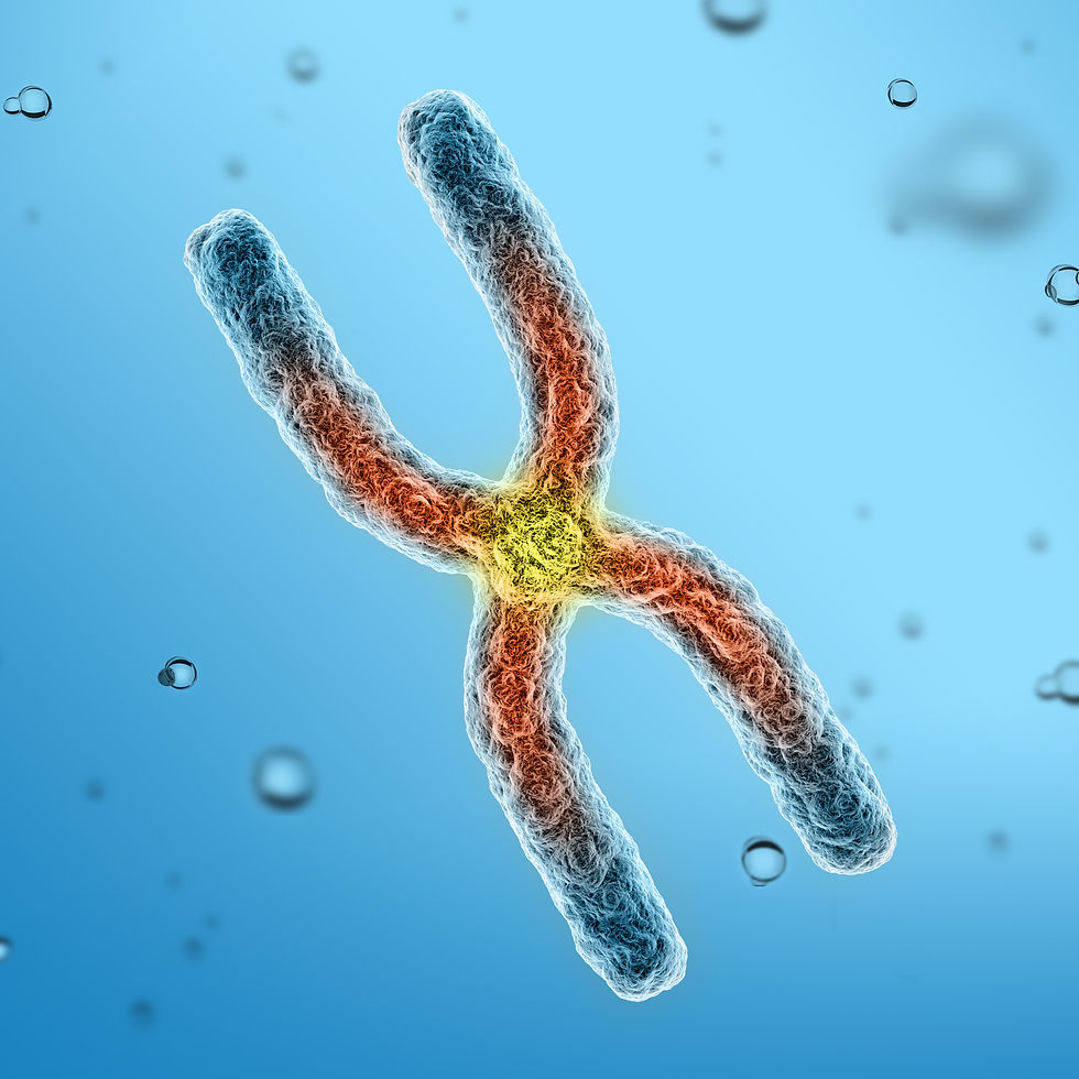 Telomeres