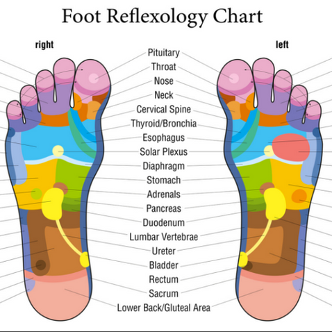 Foot Reflexology