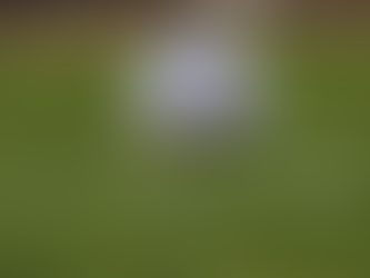 Les règles du jeu modifiées pour la saison 2023/2024