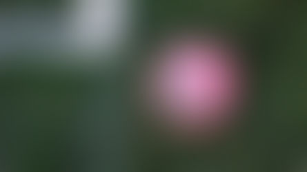 Effective Go-To-Market Strategy for Startups