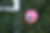 Pink Soccer Ball