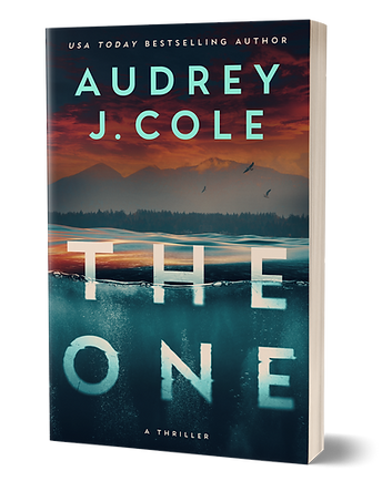 The One - Book 3D_edited.png