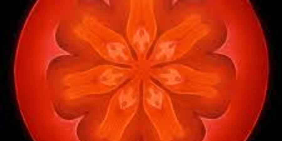 New Orleans - Terraforma Embodiment & Belonging Workshop 1 (18th - 19th May 2019)